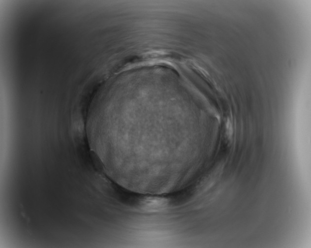 X0000088190617200705292013