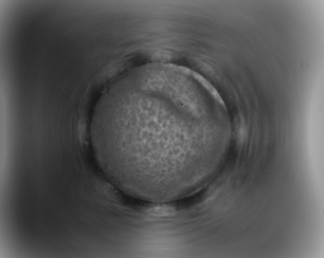 X0000088190619200705292013