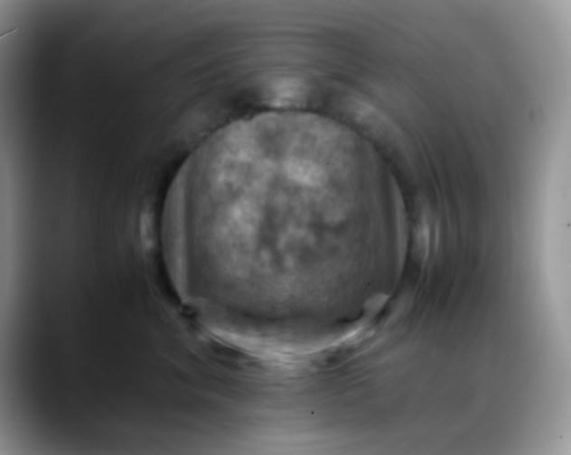 X0000088190620200705292013