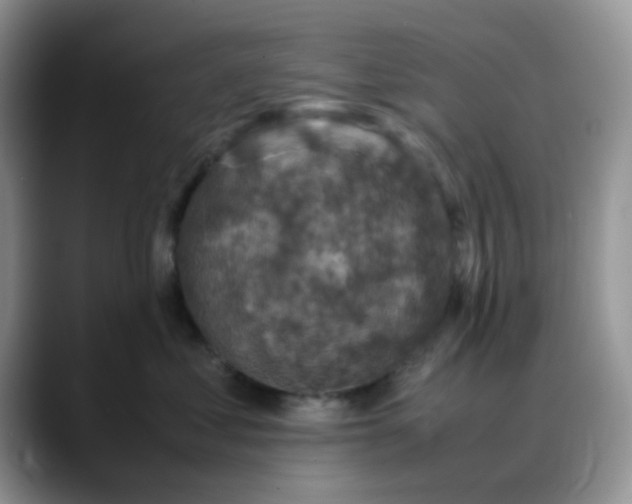 X0000088190621200705292013