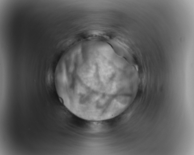 X0000088190623200705292013