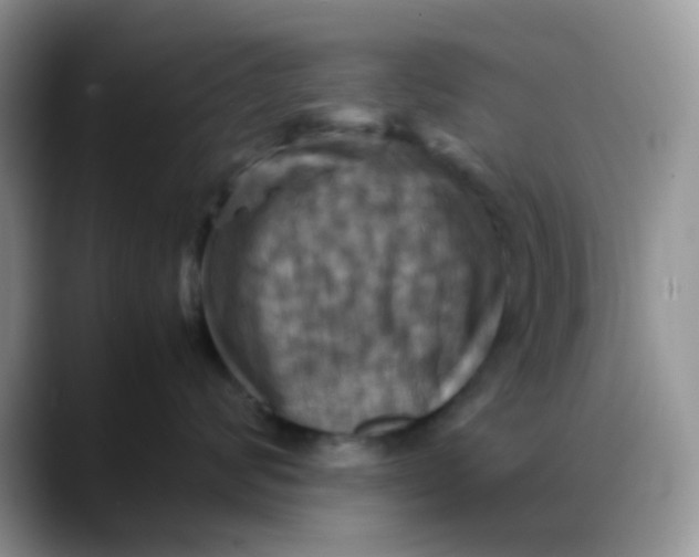 X0000088190624200705292013