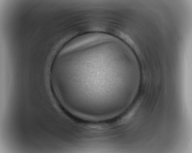X0000088190625200705292013