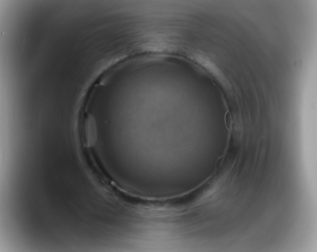 X0000088190626200705292013