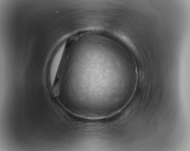 X0000088190628200705292013