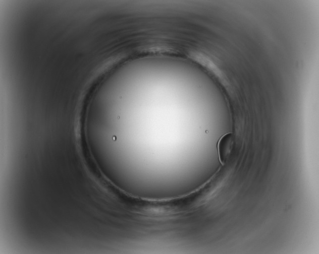 X0000088190629200705292013