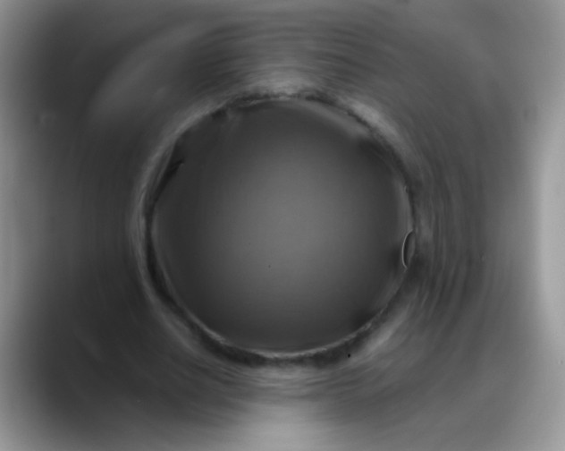 X0000088190630200705292013