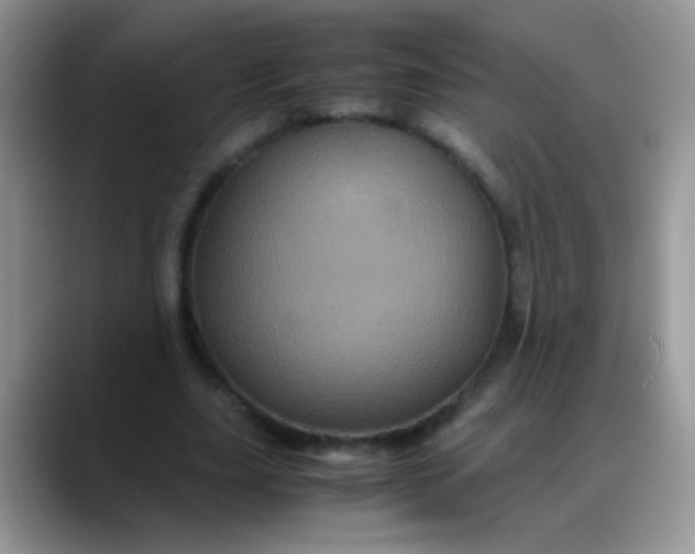 X0000088190631200705292013