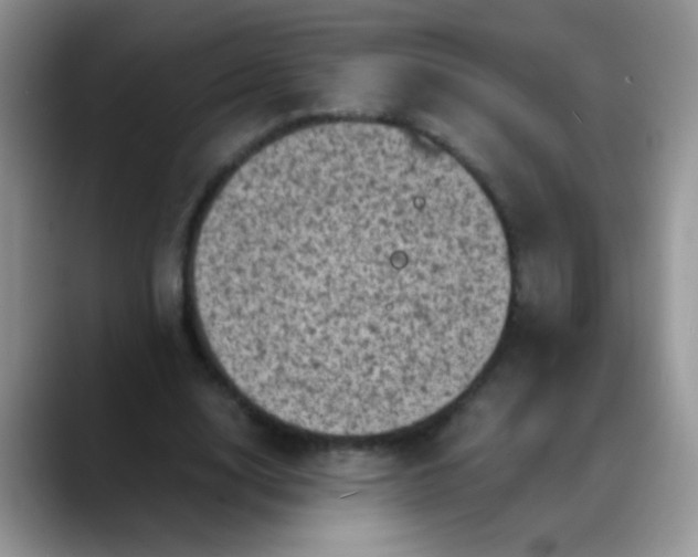 X0000088190632200705292013
