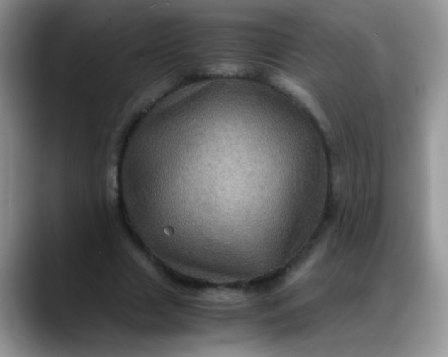 X0000088190633200705292013