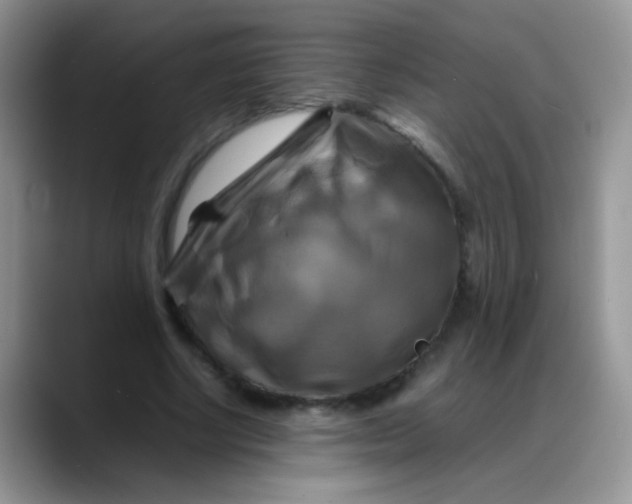 X0000088190634200705292013