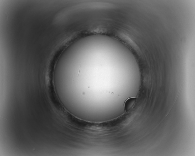 X0000088190635200705292013
