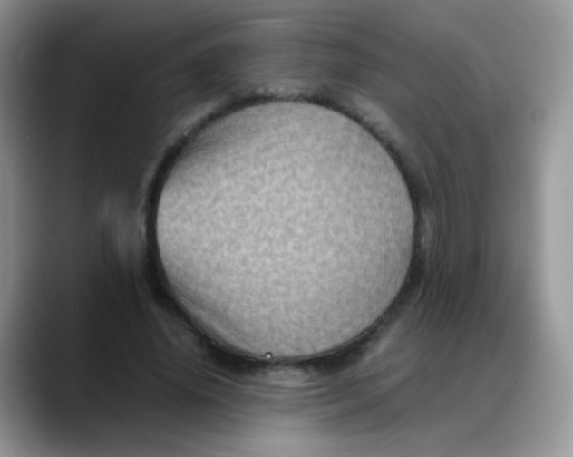 X0000088190636200705292013