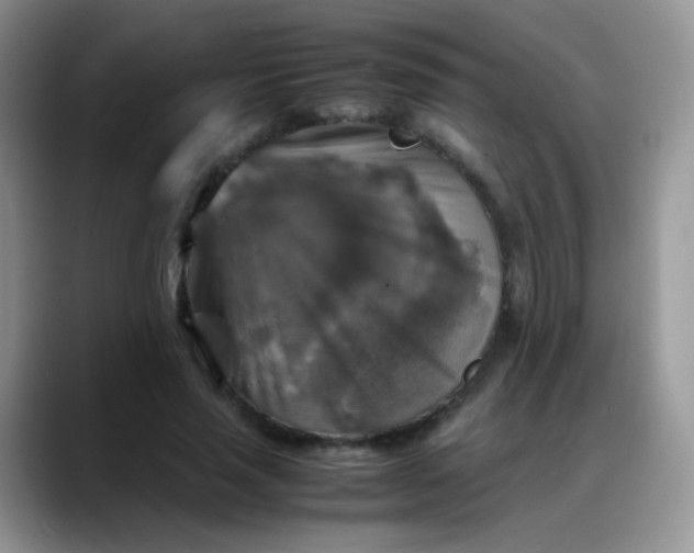 X0000088190637200705292013