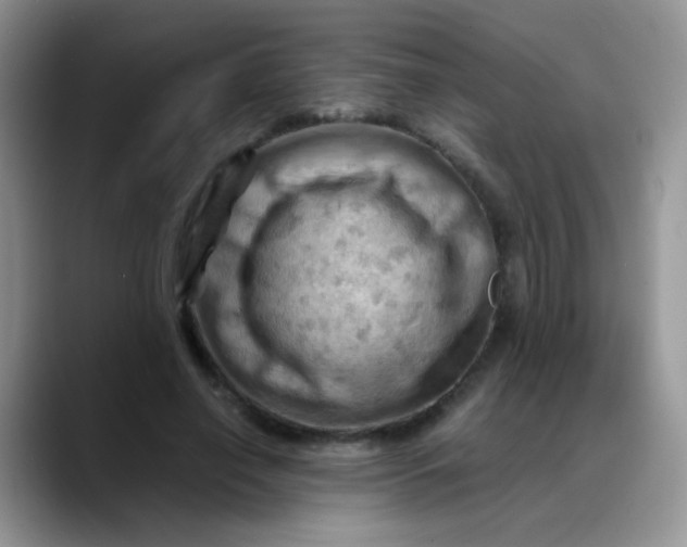 X0000088190638200705292013