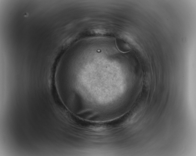 X0000088190639200705292013