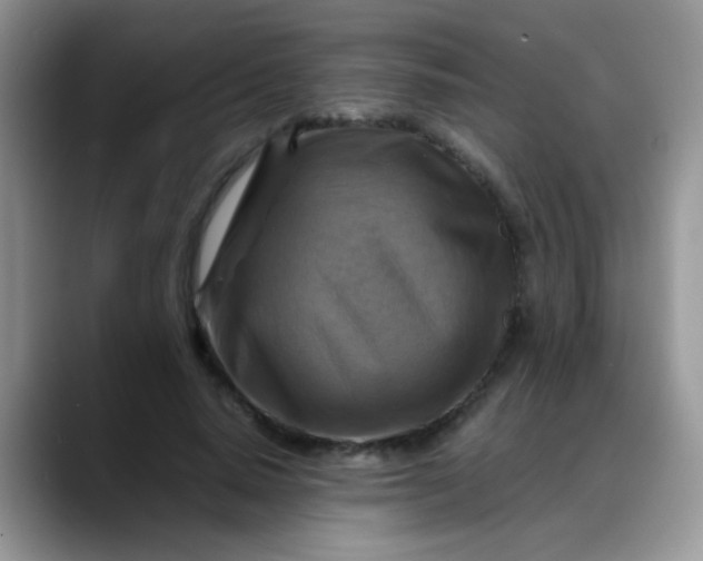X0000088190640200705292013