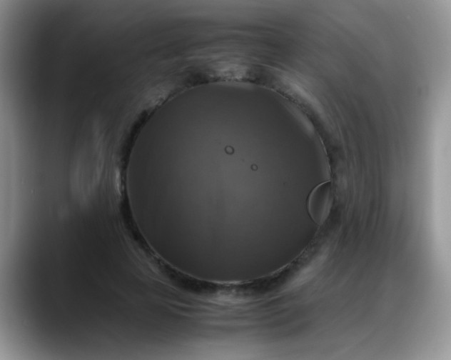 X0000088190641200705292013