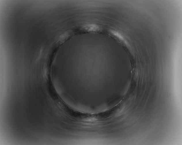 X0000088190643200705292013