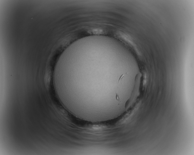 X0000088190645200705292013