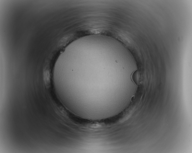 X0000088190646200705292013