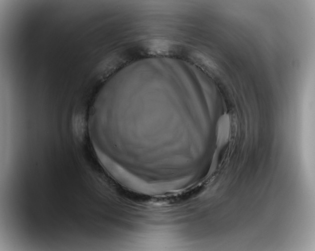 X0000088190648200705292013