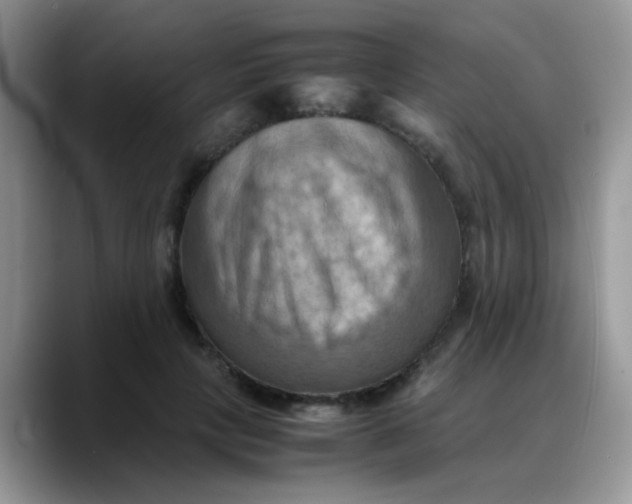 X0000088190649200705292013