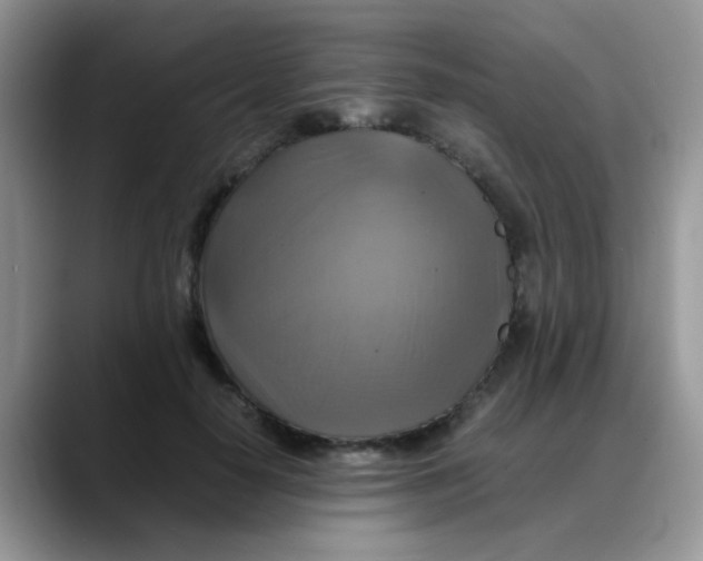 X0000088190650200705292013