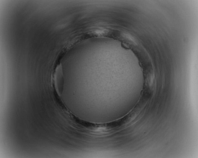 X0000088190651200705292013
