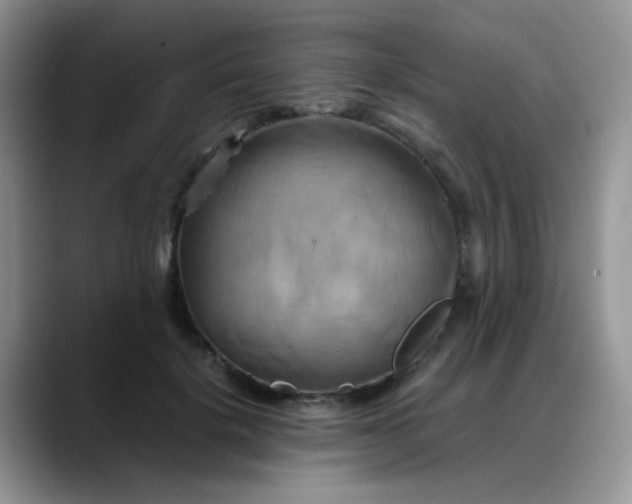 X0000088190652200705292013