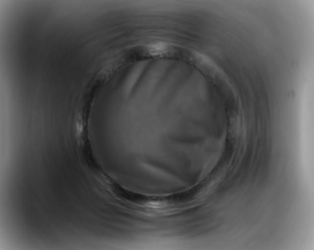 X0000088190653200705292013