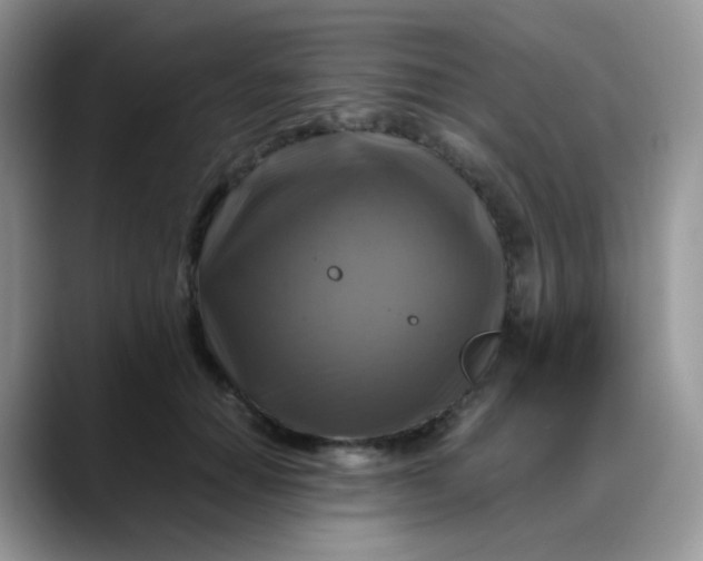 X0000088190654200705292013