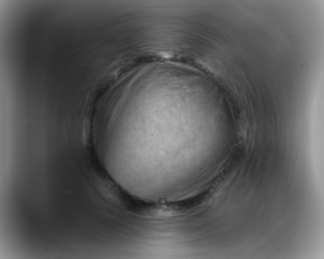 X0000088190656200705292013