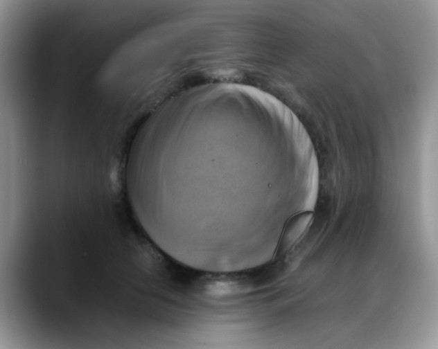 X0000088190658200705292013