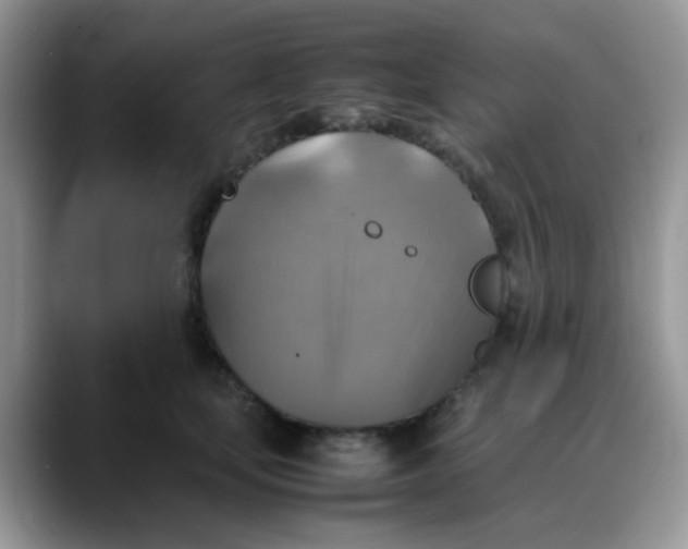 X0000088190659200705292013