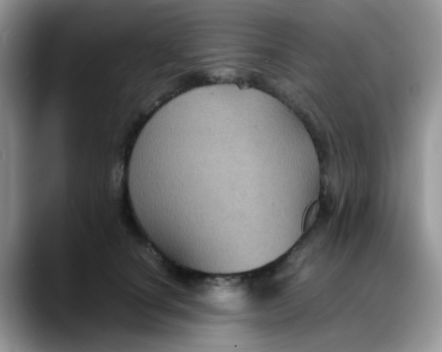 X0000088190660200705292013