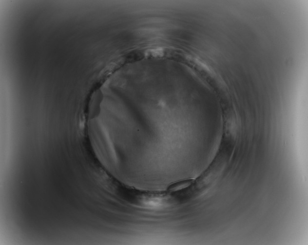 X0000088190661200705292013