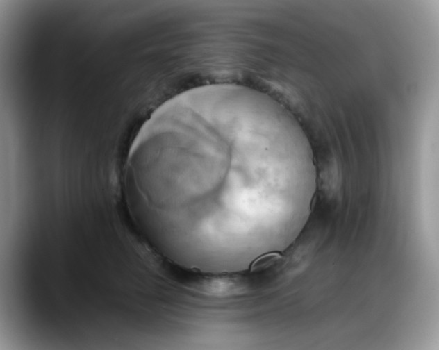 X0000088190662200705292013