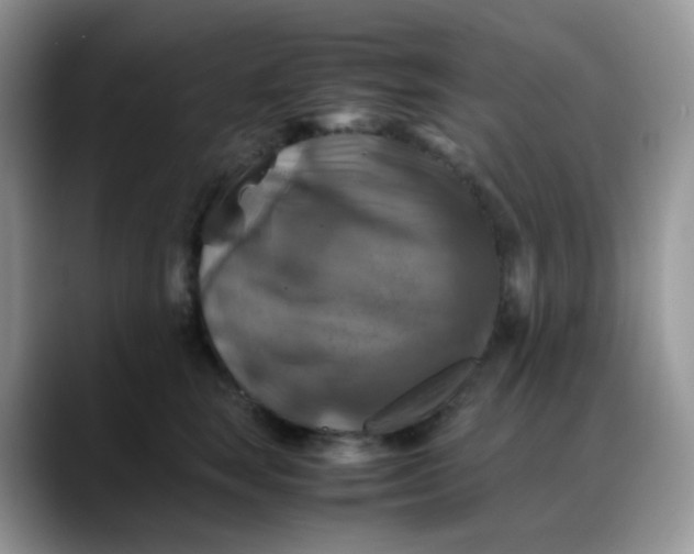 X0000088190663200705292013