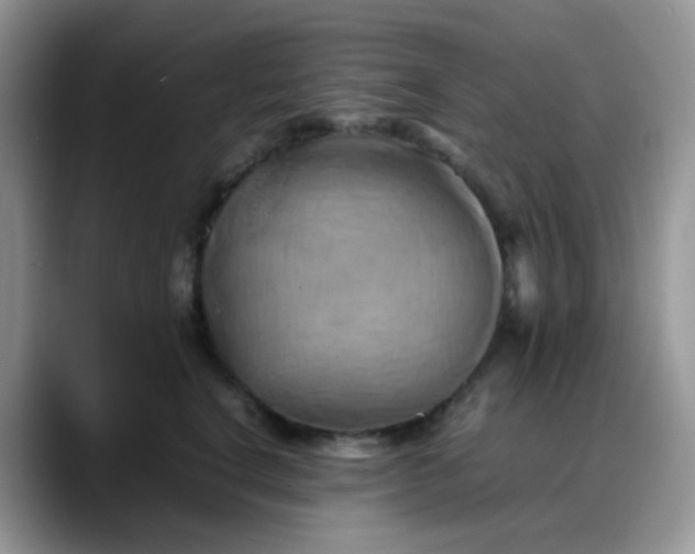 X0000088190664200705292013