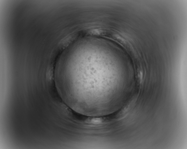 X0000088190665200705292013