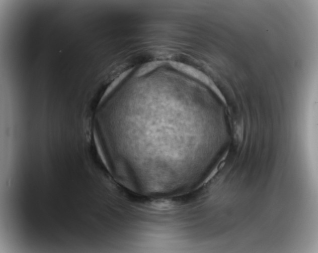X0000088190666200705292013