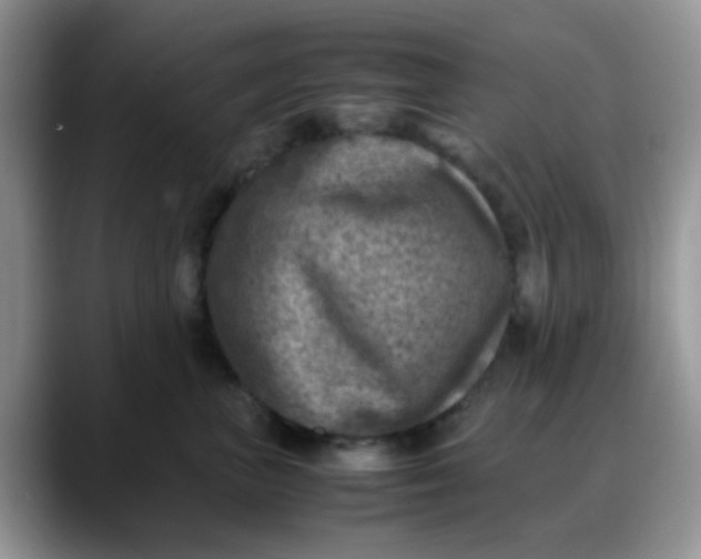 X0000088190667200705292013