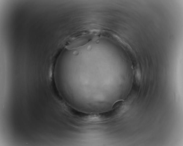 X0000088190668200705292013