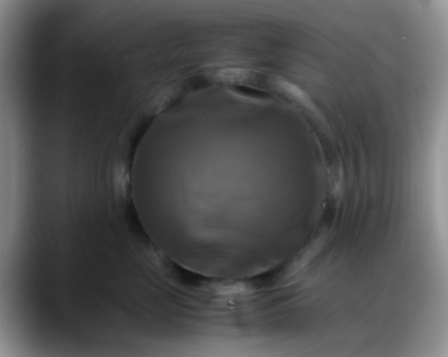X0000088190669200705292013