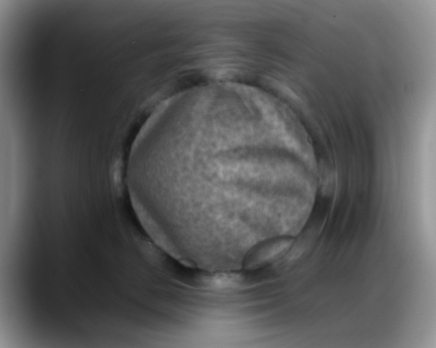 X0000088190670200705292013