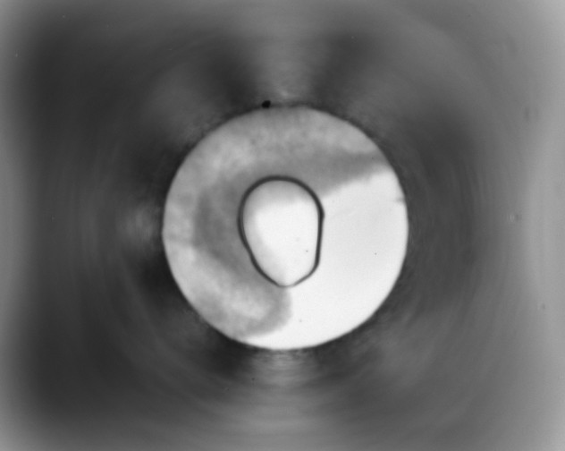 X0000088190672200705292013