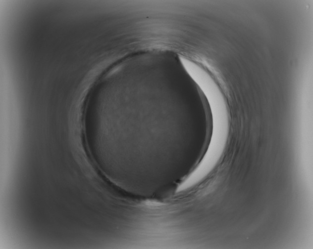 X0000088190673200705292013
