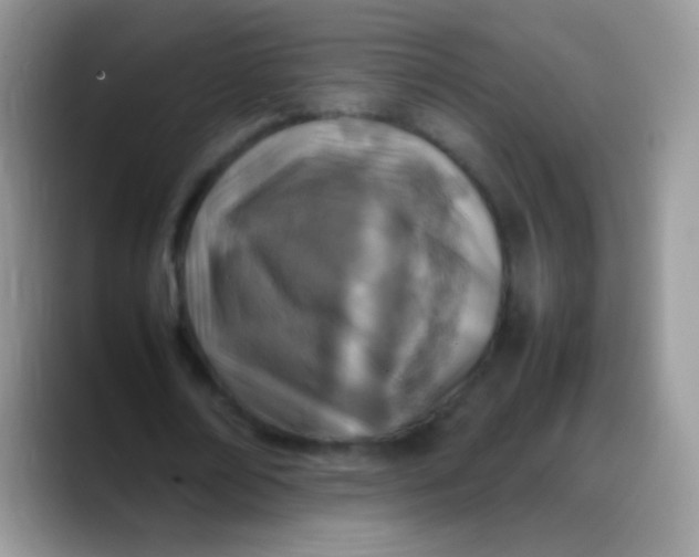 X0000088190674200705292013