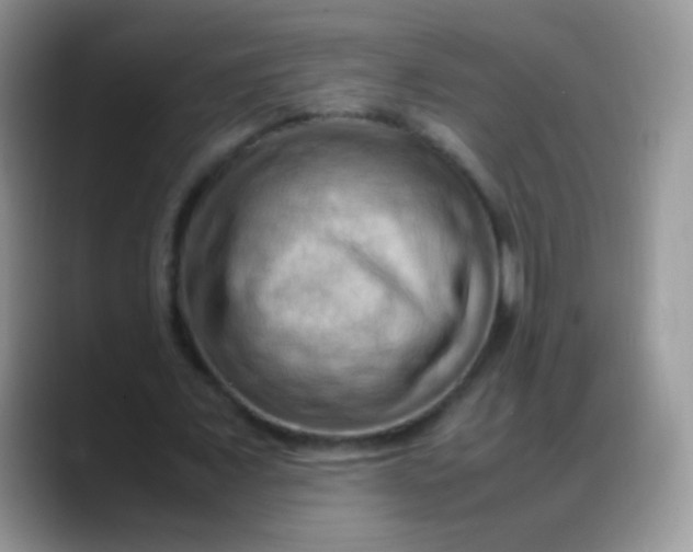 X0000088190675200705292013
